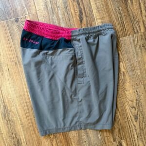Birddogs Boomstick Classic Shorts Mens Large Lined Athletic GOLF Gym Hiking Gray